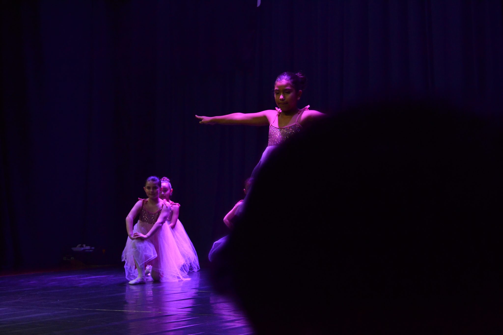 Festival Atena - Mostra de danças (27/06)