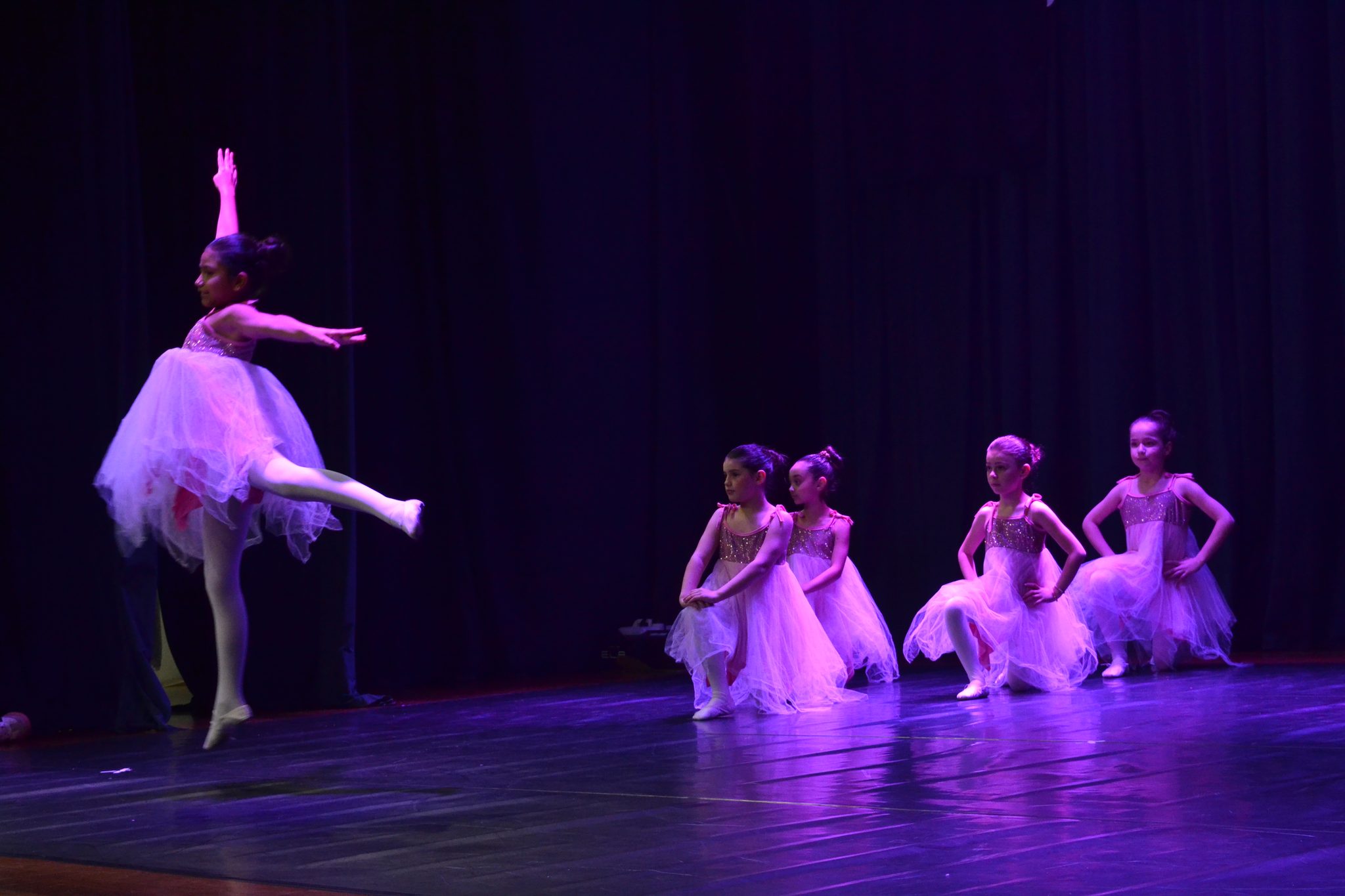 Festival Atena - Mostra de danças (27/06)