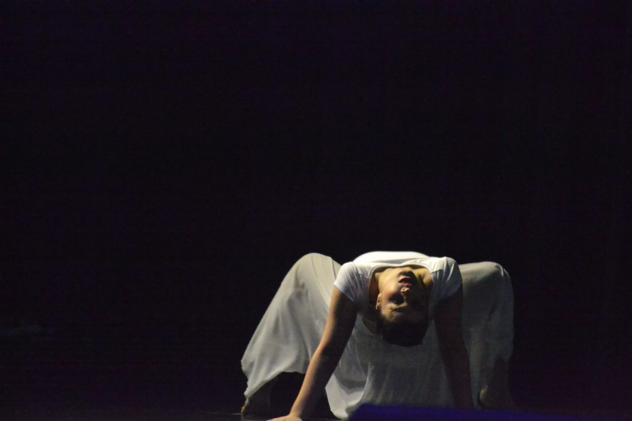 Festival Atena - Mostra de danças (27/06)
