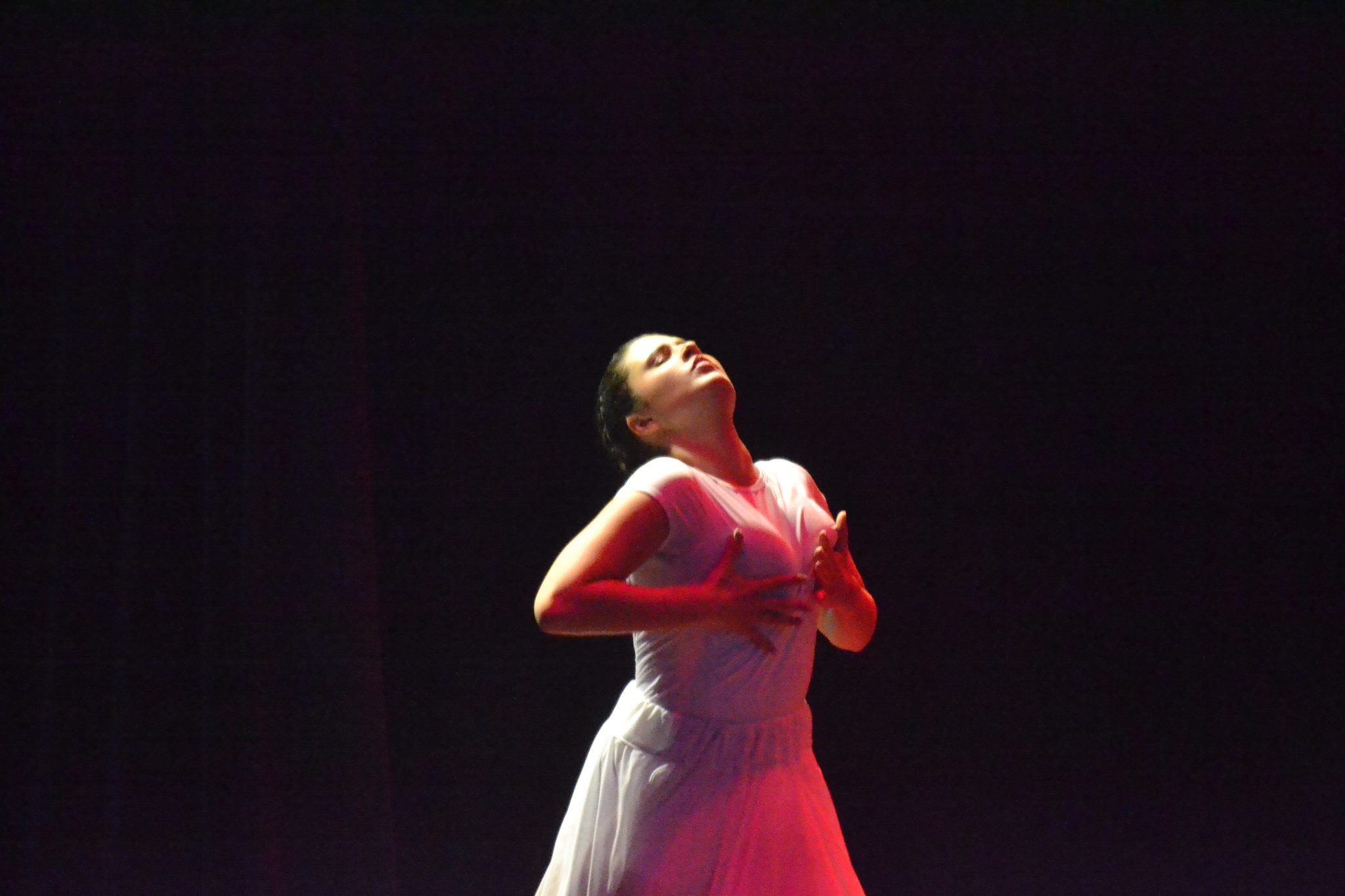 Festival Atena - Mostra de danças (27/06)