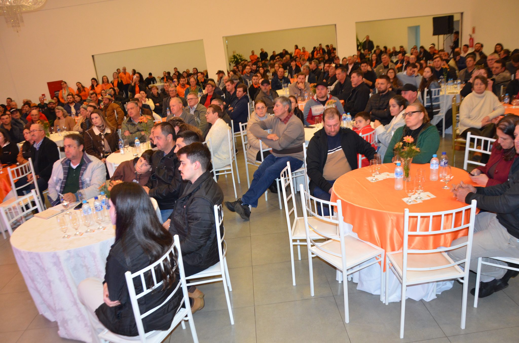 Cresol Raiz - Plano Safra 26/27