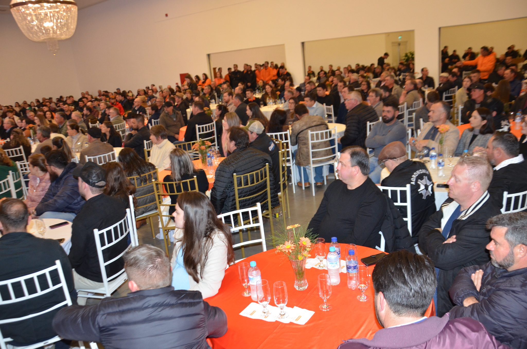 Cresol Raiz - Plano Safra 26/27