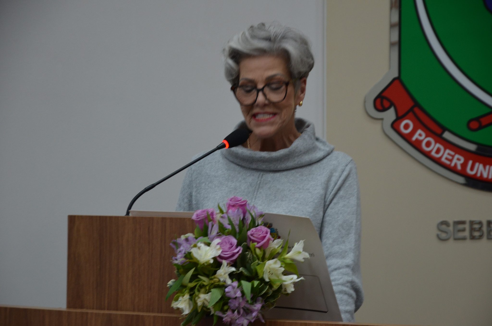 Seberi - Inauguração da Galeria Lilás Câmara