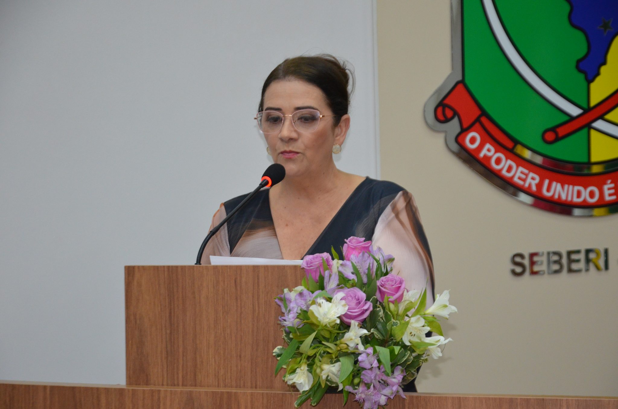 Seberi - Inauguração da Galeria Lilás Câmara
