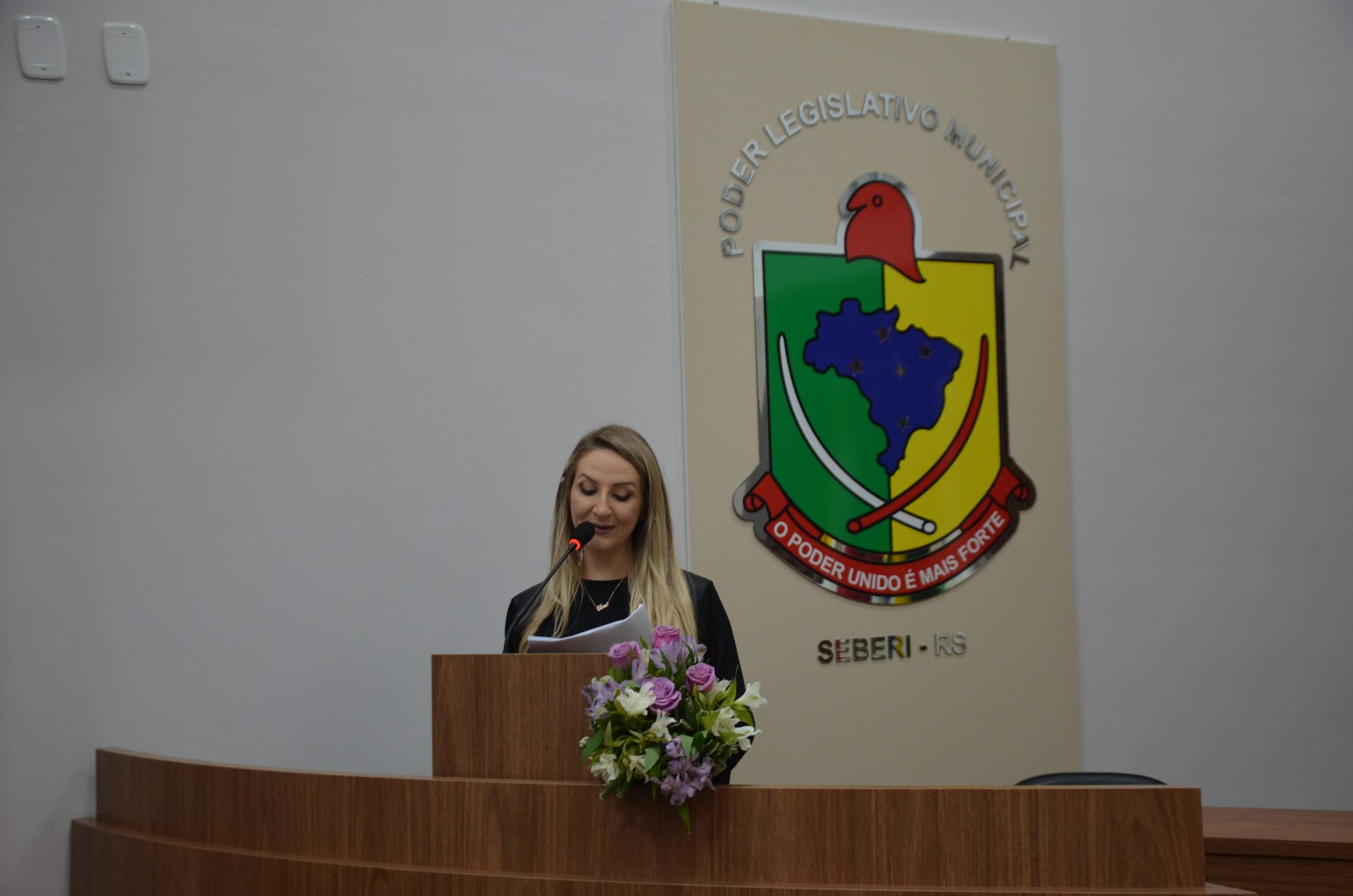 Seberi - Inauguração da Galeria Lilás Câmara