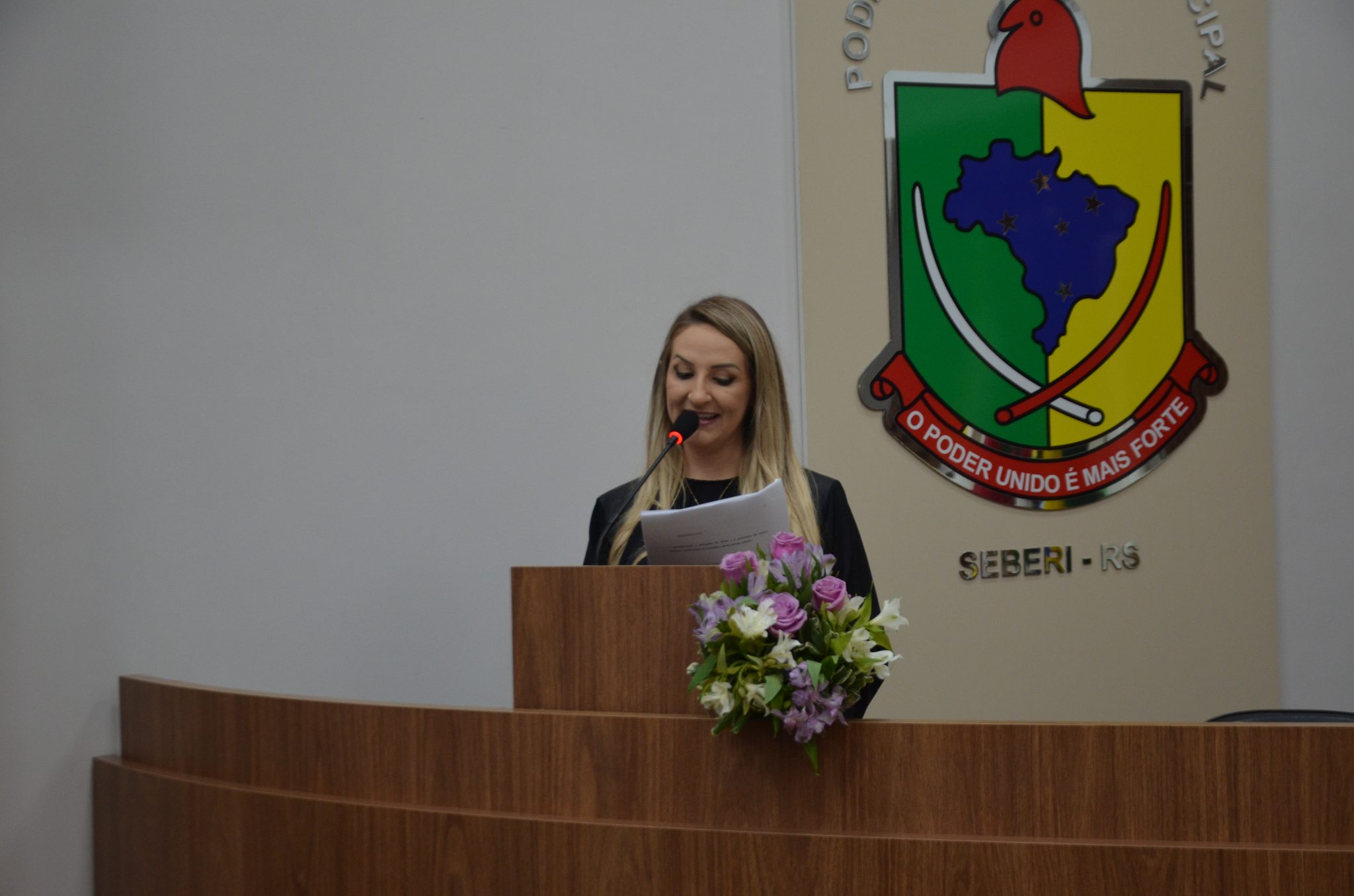 Seberi - Inauguração da Galeria Lilás Câmara
