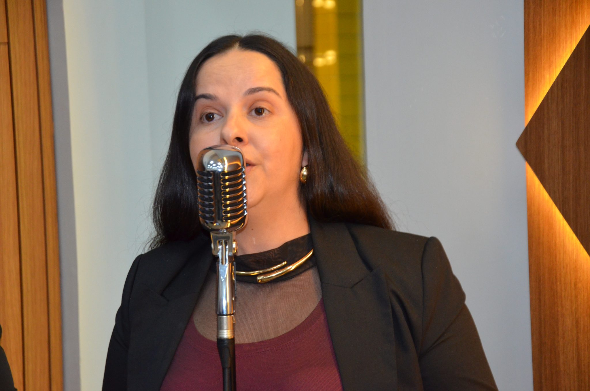 Seberi - Inauguração da Galeria Lilás Câmara