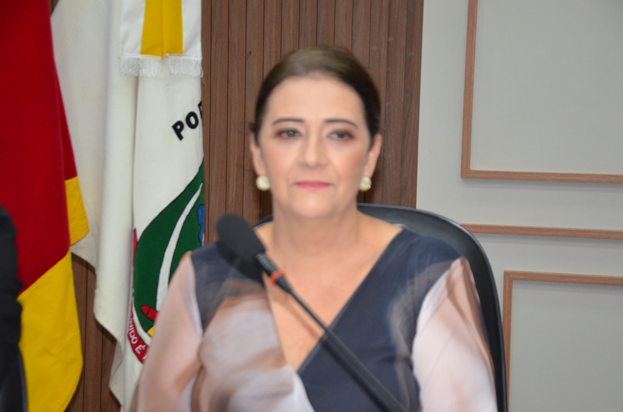 Seberi - Inauguração da Galeria Lilás Câmara