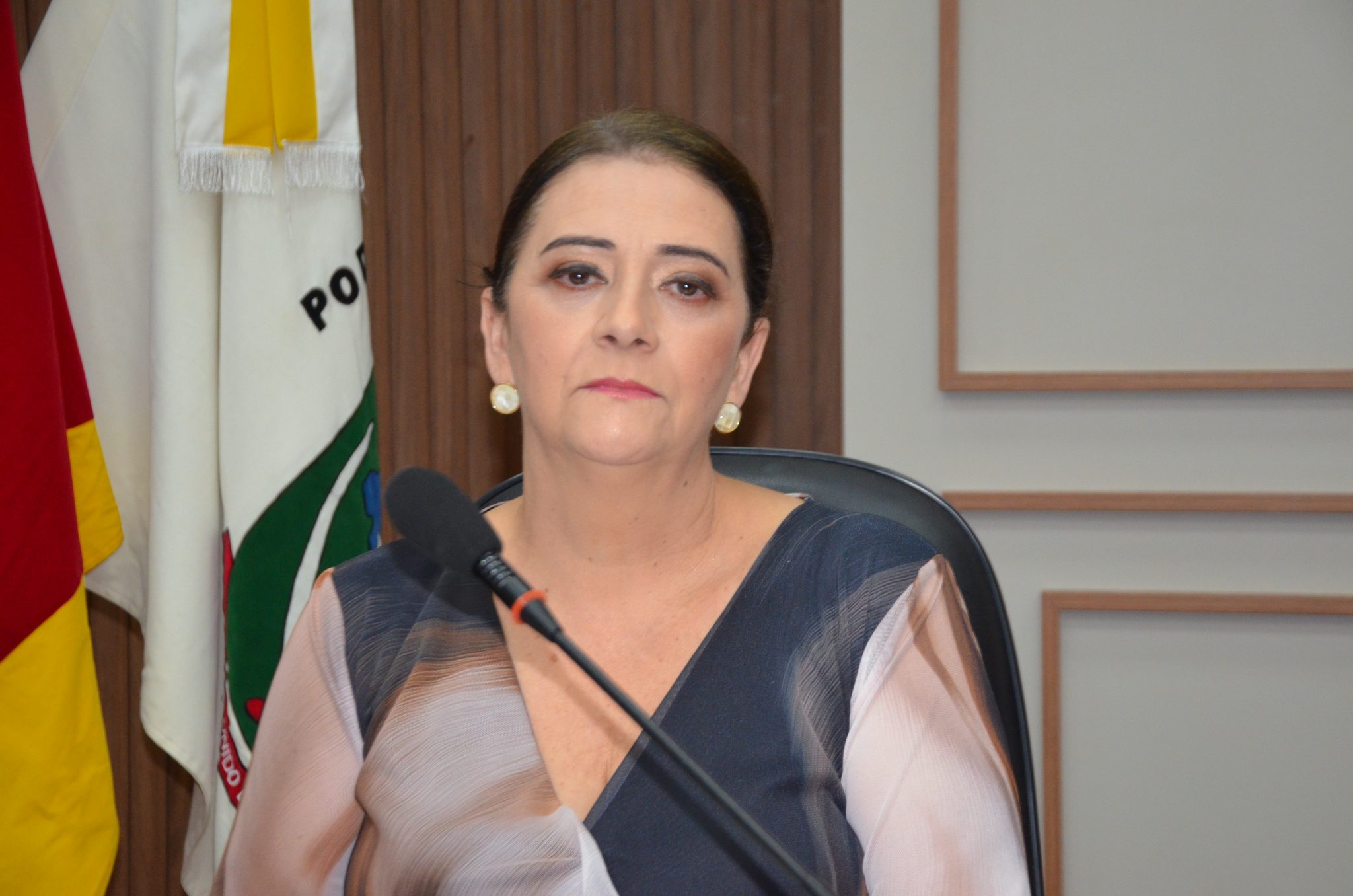 Seberi - Inauguração da Galeria Lilás Câmara
