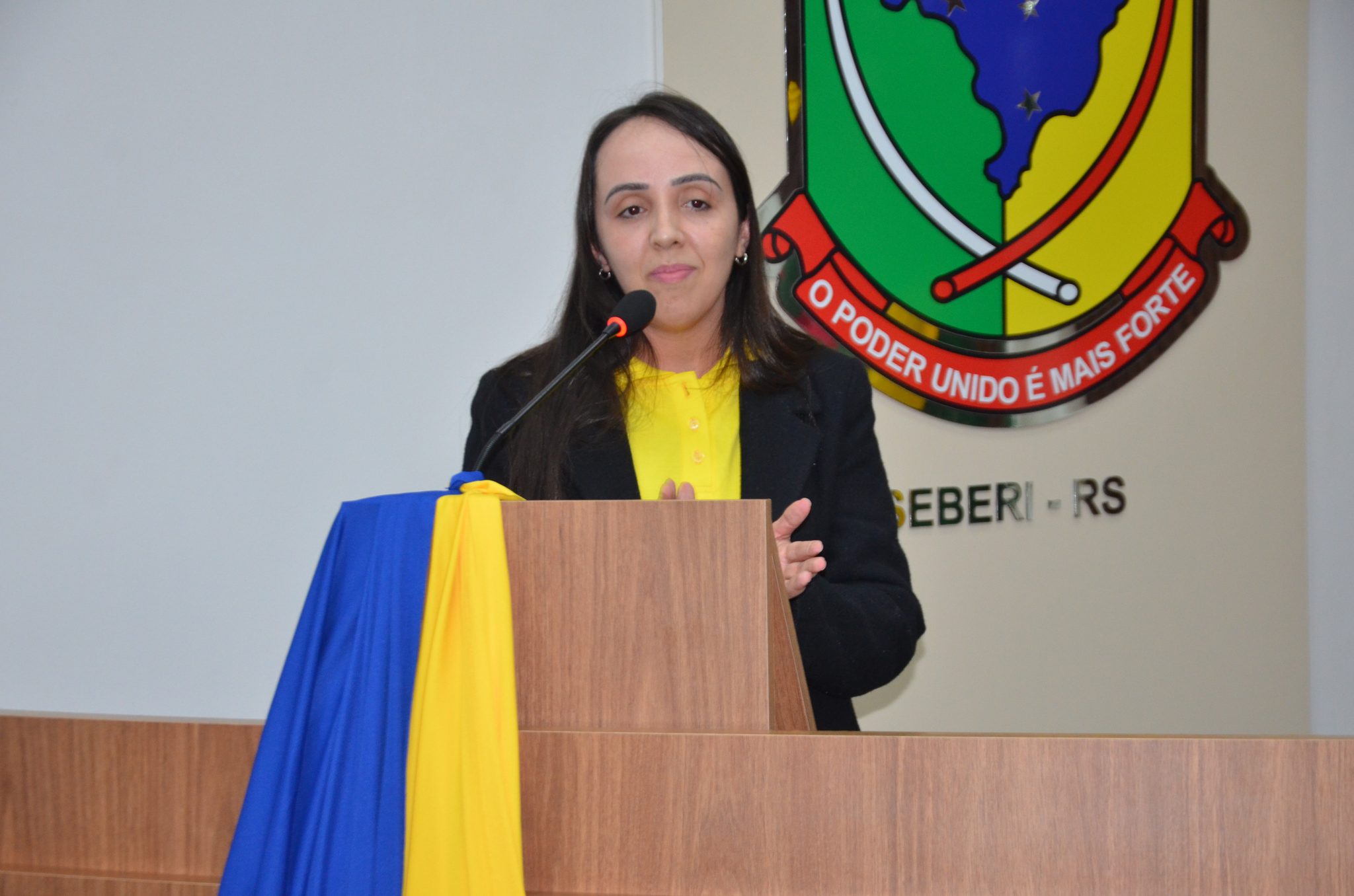 Lions Clube Seberi Centenário - posse da diretoria para o Ano Leonístico 2026/2027