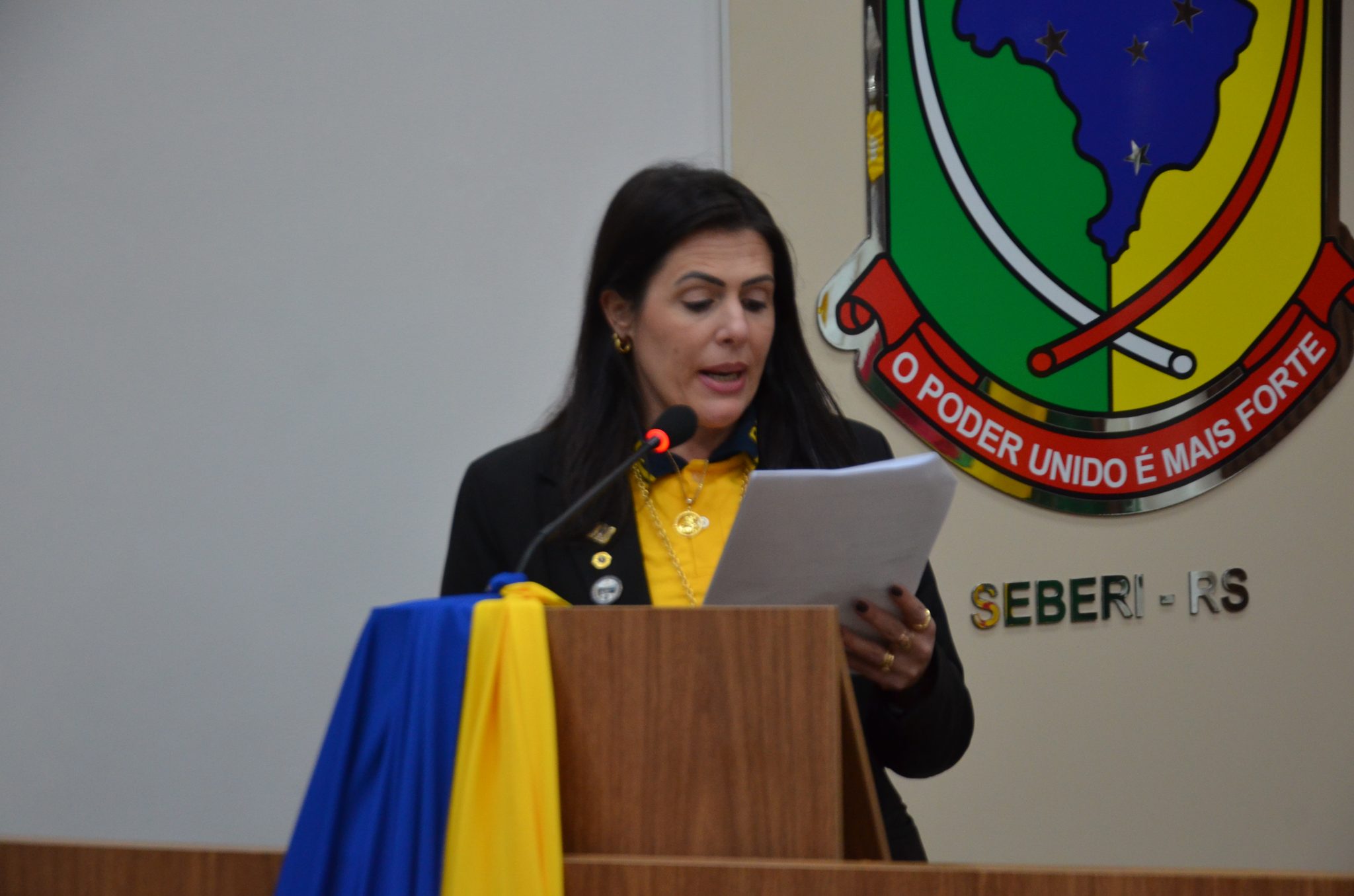 Lions Clube Seberi Centenário - posse da diretoria para o Ano Leonístico 2026/2027