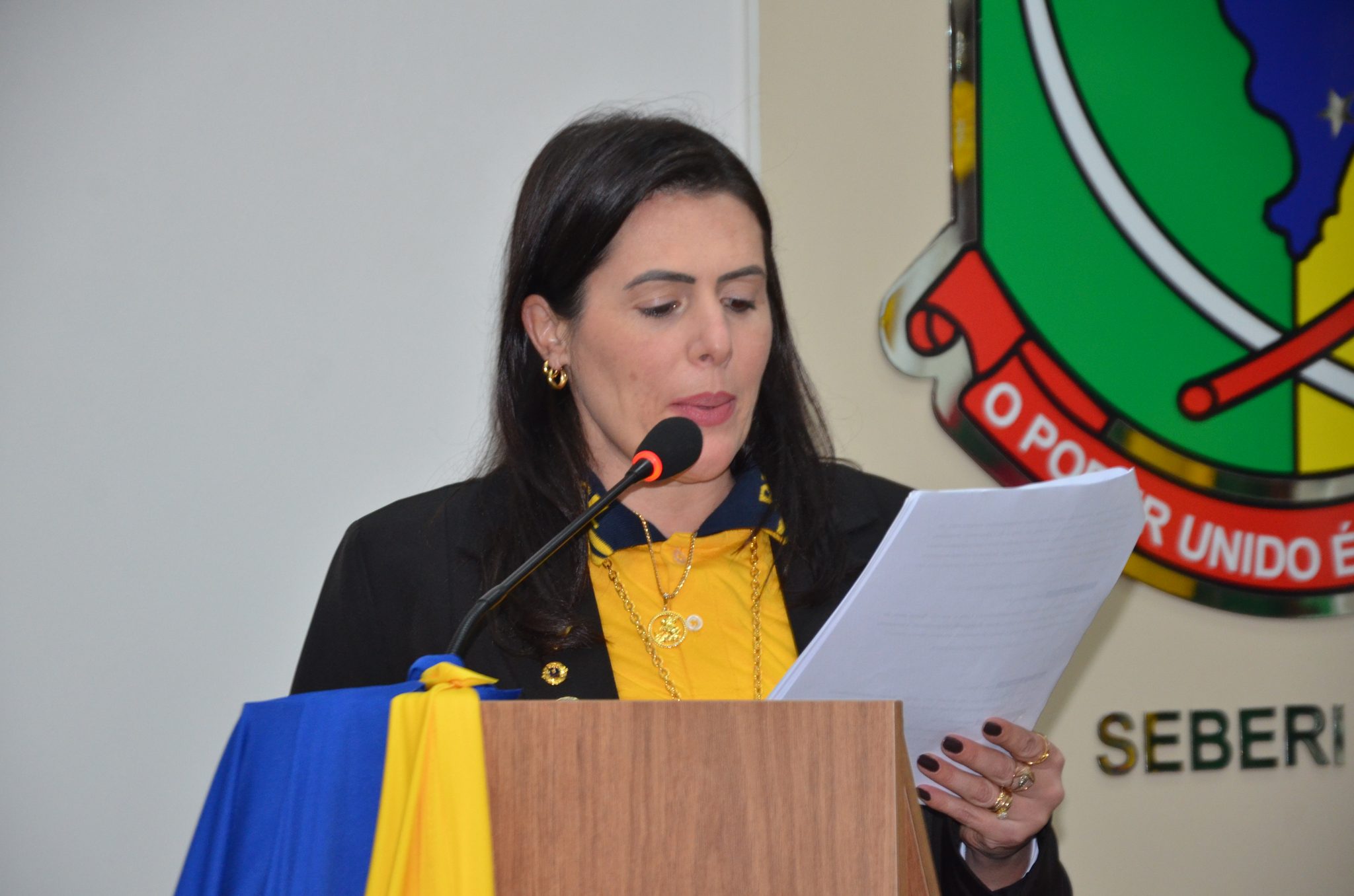 Lions Clube Seberi Centenário - posse da diretoria para o Ano Leonístico 2026/2027