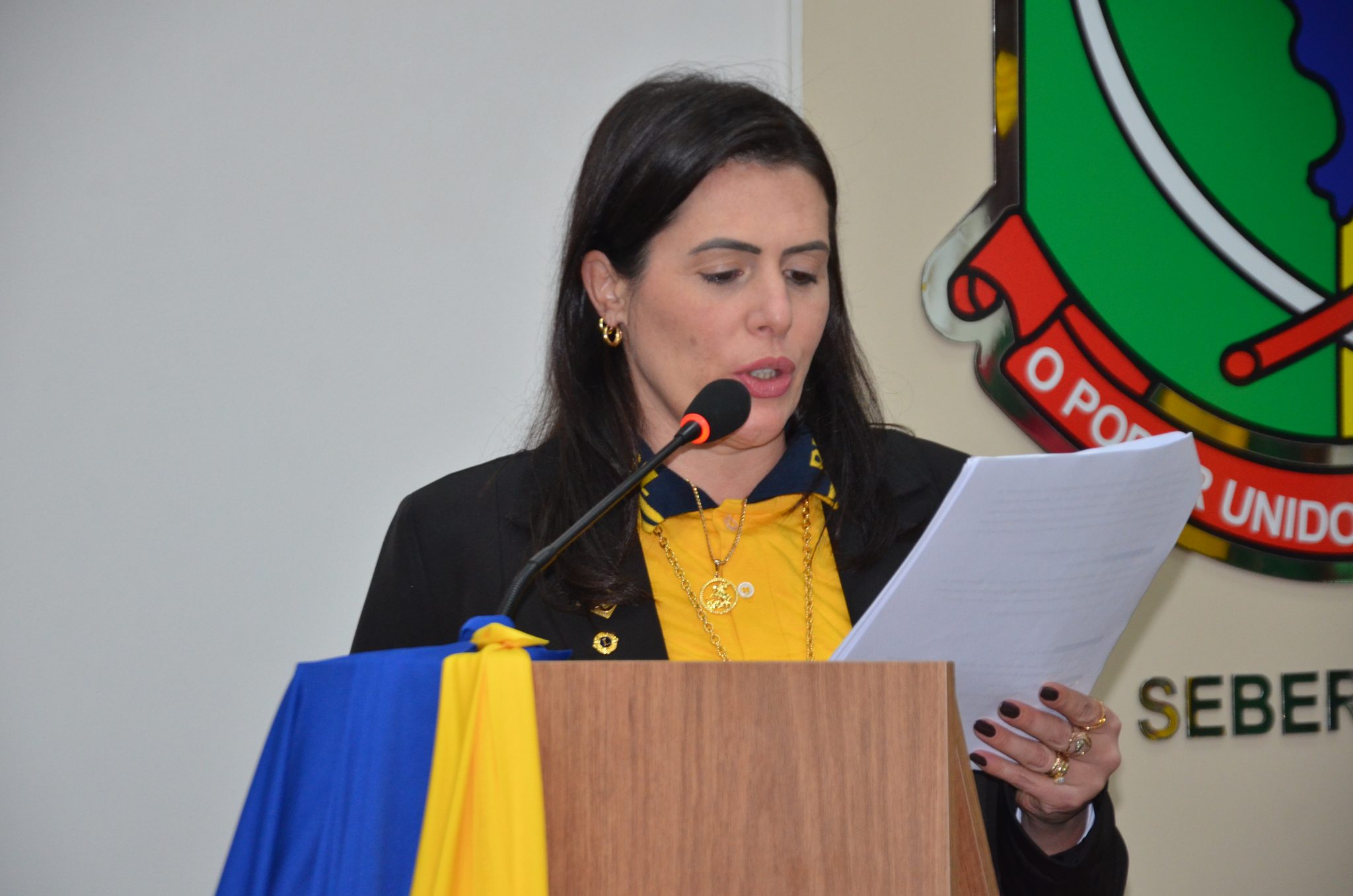 Lions Clube Seberi Centenário - posse da diretoria para o Ano Leonístico 2026/2027