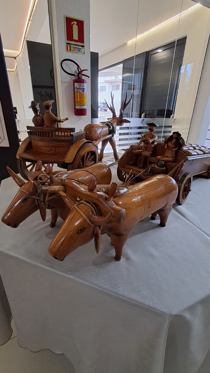 Centro Cultural de Rodeio Bonito recebe exposição “Arte em Madeira” até 30 de maio
