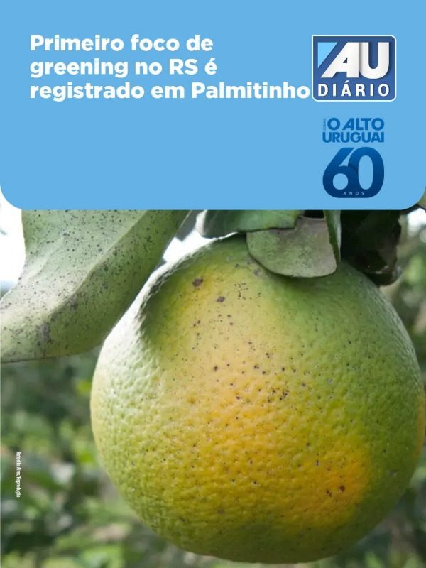 4277 - Quarta
