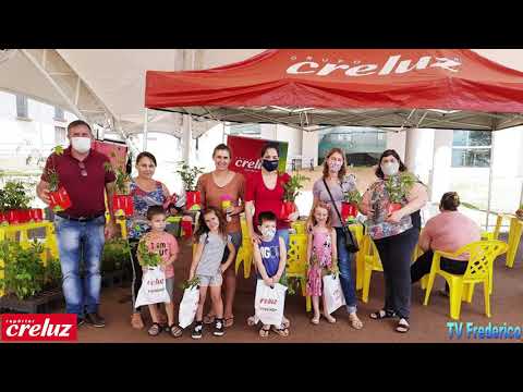 Repórter Creluz 10/12/2021