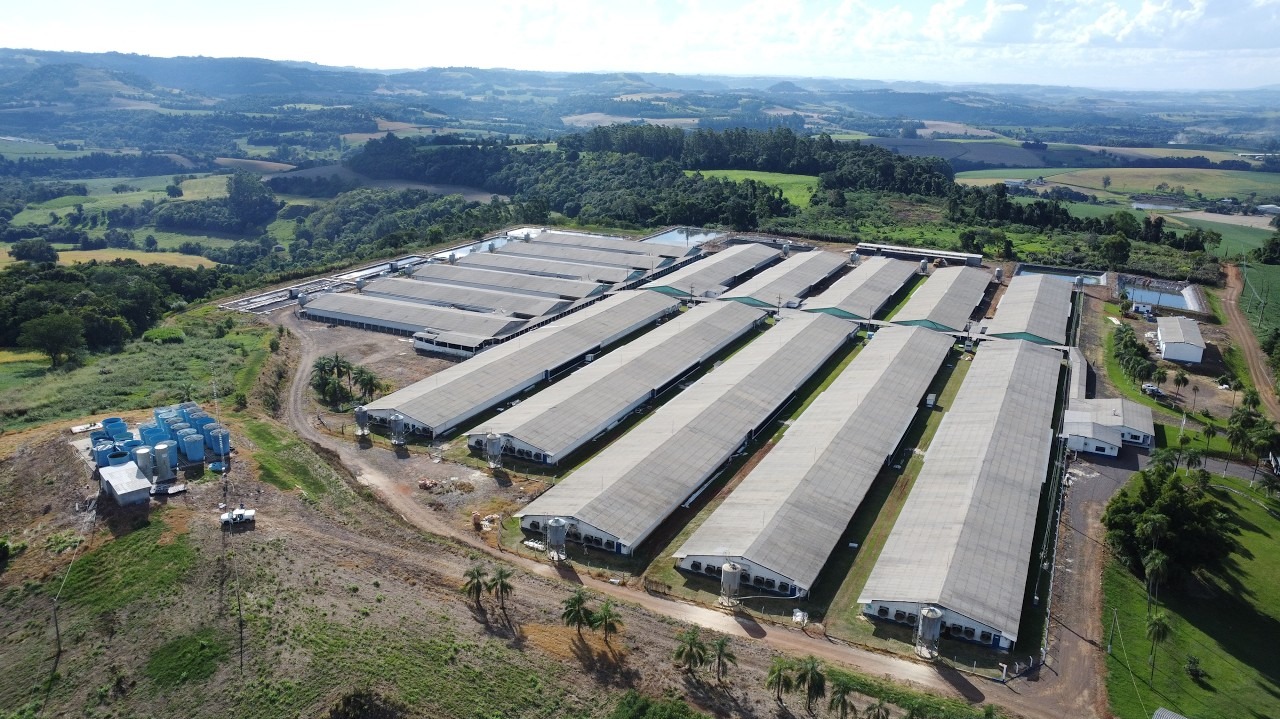 Como uma granja transforma ÁGUA DE RIO em ÁGUA POTÁVEL
